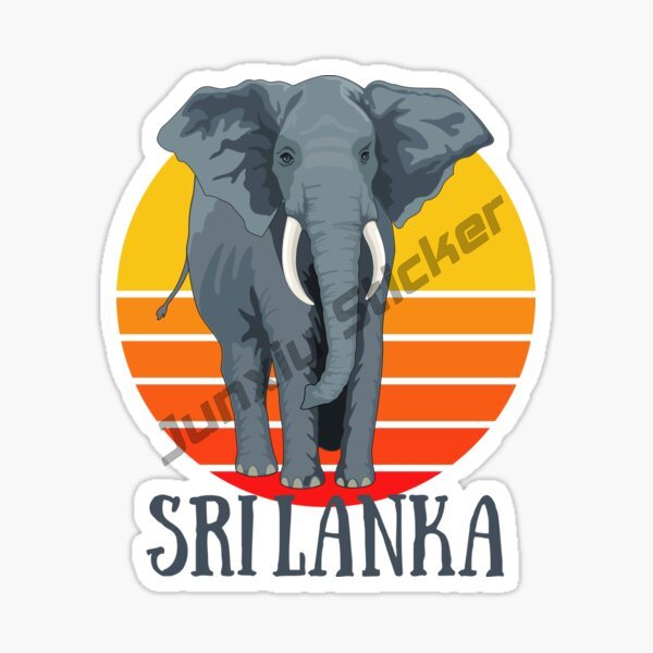 Autocollant de voiture Trefeel - Laptop Accessories Sri Lanka avis et prix